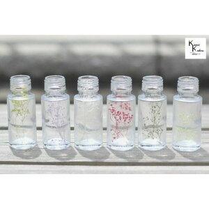 n_u{gCt[@JX~\E@FIׂ0.2g@~50ml 1{vvU[uht[@vU@n[oE@ hCt[ n[oE A}bNXo[ TVF 