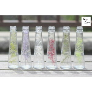 n_u{gCt[@JX~\E@FIׂ1g@~120ml 1{vvU[uht[@vU@n[oE@ hCt[ n[oE A}bNXo[ TVF 