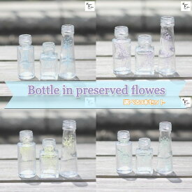 大地農園「ボトルインフラワー　カスミソウ　1色選べる0.2gずつ　円筒 円錐 スクエア50ml瓶3形状セット」プリザーブドフラワー　プリザ　ハーバリウム　小花 ドライフラワー ハーバリウム アロマワックスバー サシェ キャンドル 花材