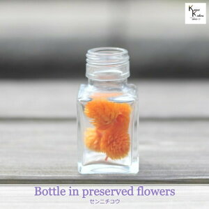 n_u{gCt[@Zj`RE@g@t[eBIW@4@XNGA50mlvvU[uht[@vU@n[oE@ hCt[ n[oE A