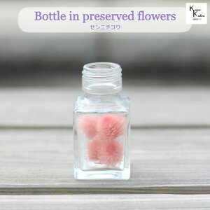 n_u{gCt[@Zj`RE@g@ojsN@4@XNGA50mlvvU[uht[@vU@n[oE@ hCt[ n[oE A}b