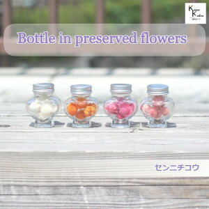 ��n�_���u�{�g���C���t�����[�@�Z���j�`�R�E�@����g�@1�F�I�ׂ�5�ց@�~�j�n�[�g 1�{�v�v���U�[�u�h�t�����[�@�v���U�@�n�[�o���E���@���� �h���C�t�����[ �n�[�o���E�� �A���}���b�N�X