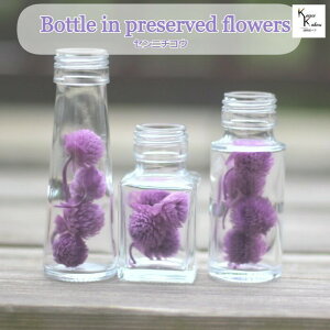 ラベンダー ドライフラワーの人気商品 通販 価格比較 価格 Com