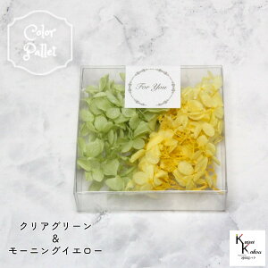 n_I vU[uht[ us~bhAWTC J[pbg (NAO[A[jOCG[) 3g 1v AWTC vU hCt[ ԍ  n[oE  