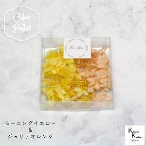 palette morning PC08-16