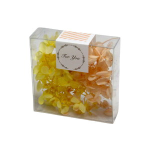 n_I vU[uht[ us~bhAWTC J[pbg 2F 3g DȃJ[1v AWTC vU hCt[ ԍ  n[oE  킢 v[g