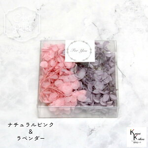 n_I vU[uht[ us~bhAWTC J[pbg (i`sNAx_[) 3g 1v AWTC vU hCt[ ԍ  n[oE  킢