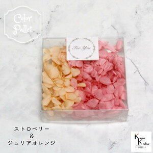 n_I vU[uht[ us~bhAWTC J[pbg (WAIWAXgx[) 3g 1v AWTC vU hCt[ ԍ  n[oE  