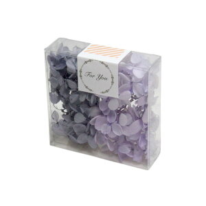 n_I vU[uht[ us~bhAWTC J[pbg 2F 3g DȃJ[1v AWTC vU hCt[ ԍ  n[oE  킢 v[g