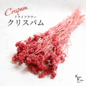 un_ NXp t{[Y 1v hCt[ ԍ n[oE f   킢 AWg Mtg ̓ a II`mEG