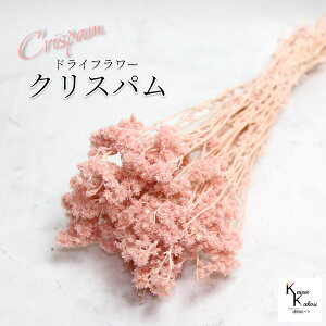 un_ NXp VL[sN 1v hCt[ ԍ n[oE f   킢 AWg Mtg ̓ a II`mEG