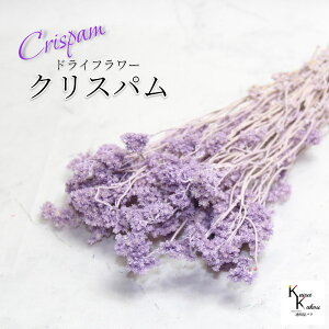 un_ NXp GWFp[v 1 v hCt[ ԍ n[oE f   킢 AWg Mtg ̓ a II`mEG