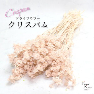 un_ NXp sNx[W 1v hCt[ ԍ n[oE f   킢 AWg Mtg ̓ a II`mEG