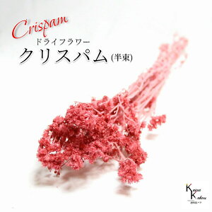 un_ NXp t{[Y v hCt[ ԍ n[oE f   킢 AWg Mtg ̓ a II`mEG