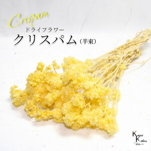 un_ NXp GWFCG[ v hCt[ ԍ n[oE f   킢 AWg Mtg ̓ a II`mEG