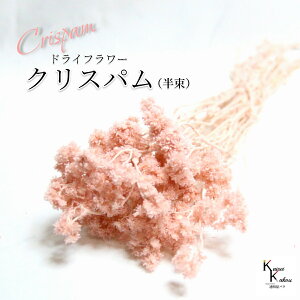 un_ NXp VL[sN v hCt[ ԍ n[oE f   킢 AWg Mtg ̓ a II`mEG