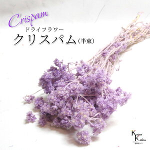 un_ NXp GWFp[v  v hCt[ ԍ n[oE f   킢 AWg Mtg ̓ a II`mEG