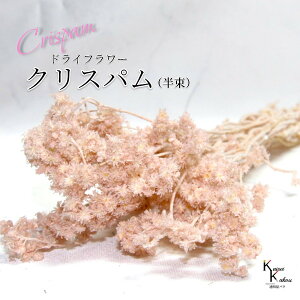 un_ NXp sNx[W v hCt[ ԍ n[oE f   킢 AWg Mtg ̓ a II`mEG