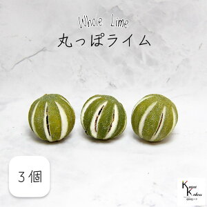 n_I vU[uht[ uۂۃC 3v t[c vU ʕ C  n[oE  킢 v[g 蕨 II`mEG