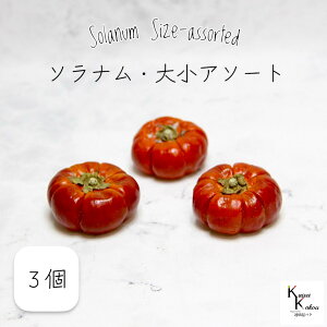 ��n�_���I �v���U�[�u�h�t�����[ �u�\���i�� �召�A�\�[�g 3�v �t���[�c �v���U �ʕ� �\���i���p���v�L�� ���� �n�[�o���E�� ������� ���킢�� �v���[���g ���蕨 �I�I�`�m�E�G��