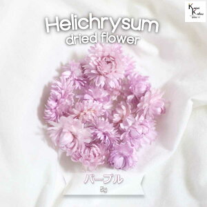 紫 花 おしゃれ プリザーブドフラワーの人気商品 通販 価格比較 価格 Com