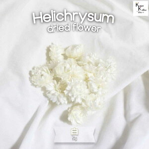 n_IhCt[@5g@uwNT@vvU@ԍ n[oE  킢 v[g 蕨@II`mEG vU[uht[