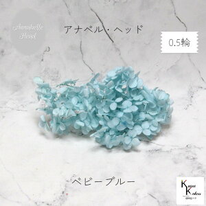 n_IvU[uht[@u\tgAixAWTC xr[u[ 0.5֕v vU@AWTC@z ԍ n[oE  킢 v[g 蕨@II`mEG 