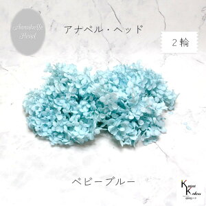 [ւŔ n_IvU[uht[@uAixAWTC xr[u[ 2֕v vU@AWTC@z ԍ n[oE  킢 v[g 蕨@II`