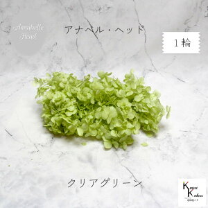 n_IvU[uht[ u\tgAixAWTC NAO[ 1֕v vU@AWTC@z ԍ n[oE  킢 v[g 蕨@II`mEG 