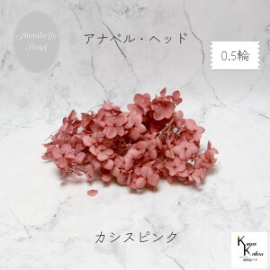 n_IvU[uht[@uAixAWTC JVXsN 0.5֕v@vU@AWTC@z ԍ n[oE  킢 v[g 蕨@II`mEG \t