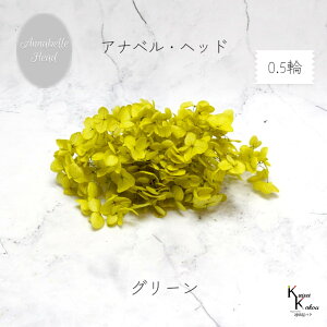 n_IvU[uht[@u\tgAixAWTC O[ 0.5֕v vU@AWTC@z ԍ n[oE  킢 v[g 蕨@II`mEG \t