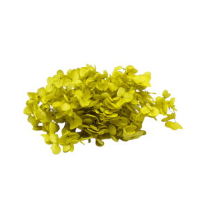 n_ vU[uht[ u\tgAixAWTC J[Iׂ 0.5֕v ԍ n[oE z vU