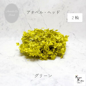 }ւŔ n_IvU[uht[ u\tgAixAWTC O[ 2֕v vU@AWTC@z ԍ n[oE  킢 v[g 蕨@II`m