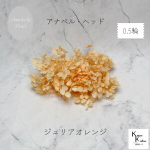 n_IvU[uht[ u\tgAixAWTC WAIW 0.5֕v vU@AWTC@z ԍ n[oE  킢 v[g 蕨@II`mEG