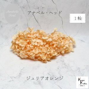 n_IvU[uht[ u\tgAixAWTC WAIW 1֕v vU@AWTC@z ԍ n[oE  킢 v[g 蕨@II`mEG