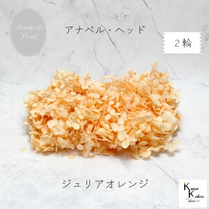 }ւŔ n_IvU[uht[u\tgAixAWTC WAIW 2֕v vU@AWTC@z ԍ n[oE  킢 v[g 蕨@