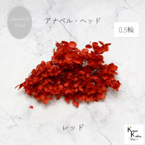 n_IvU[uht[ @u\tgAixAWTC bh 0.5֕v vU@AWTC@z ԍ n[oE  킢 v[g 蕨@II`mEG \t