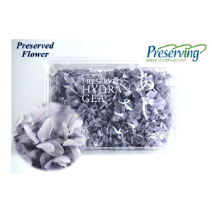 [ւŔ n_IvU[uht[@u2֕ \tgs~bhAWTC@x_[v vU@AWTC@z ԍ n[oE  킢 v[g 蕨@