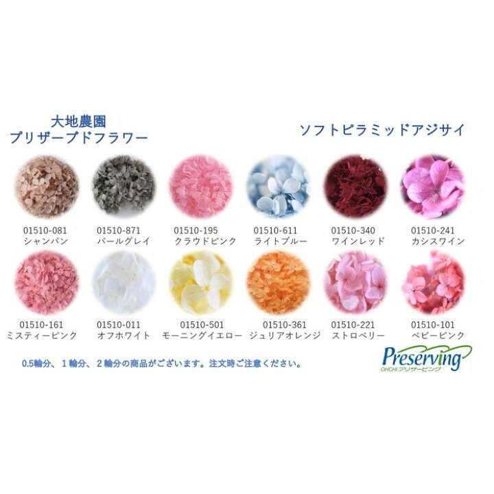 楽天市場】大地農園 プリザーブドフラワー アジサイ 全22色 1輪分 ソフトピラミッドアジサイ花材 ハーバリウム 紫陽花 プリザ : 透明屋パク 楽天市場】大地農園 プリザーブドフラワー アジサイ 全22色 1輪分 ソフトピラミッドアジサイ花材 ハーバリウム 紫陽花 プリザ : 透明屋パク