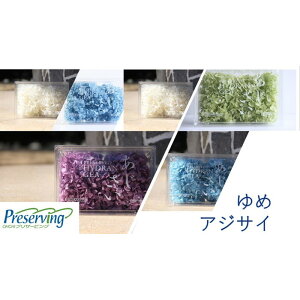 }ւŔ n_I vU[uht[ ߃AWTC@yXgx[zy2֕zAWTC