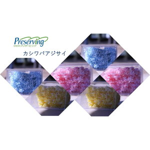 n_I vU[uht[ JVoAWTCyNAO[zy0.5֕zAWTC