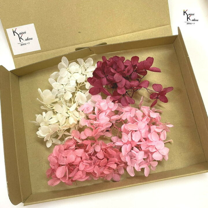 楽天市場】送料無料 ネコポス プリザーブドフラワー 花材 アジサイ 