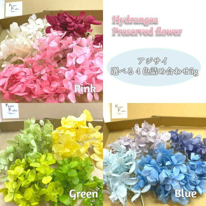 楽天市場】送料無料 ネコポス プリザーブドフラワー 花材 アジサイ 