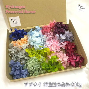 vU[uh ԍ AWTC  17F l z 蕨  z   킢 vU n[oE Ԃ ԍ vU[uht[   lR|X h