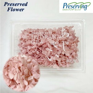 n_IvU[uht[@u1֕ \tgs~bhAWTC NEhsNvvU@AWTC@z ԍ n[oE  킢 v[g 蕨@II`mEG