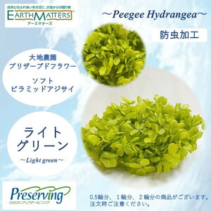 n_IvU[uht[@u1֕ \tgs~bhAWTC CgO[vvU@AWTC@z ԍ n[oE  킢 v[g 蕨@II`mEG