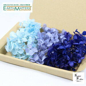 n_I vU[uht[ us~bhAWTC xr[u[ Cu[ lCr[u[ 3FZbg@5gvvU@AWTC@z ԍ n[oE  킢 v