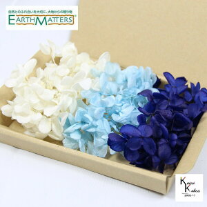 n_I vU[uht[ us~bhAWTC ItzCg xr[u[ lCr[u[ 3FZbg@5gvvU@AWTC@z ԍ n[oE  킢 v