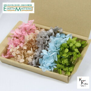 n_I vU[uht[ us~bhAWTC xr[sN Vp p[O[ xr[u[ O[ 5FZbg@5gvAeB[NJ[ AWTC@z ԍ n[o