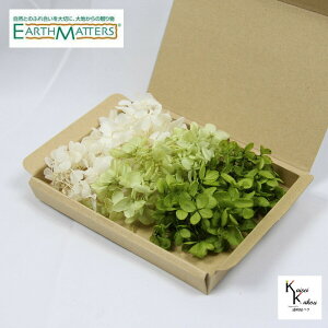 n_I vU[uht[ us~bhAWTC ItzCg NAO[ O[ 3FZbg@5gvAeB[NJ[ AWTC@z ԍ n[oE 蕨@II`m